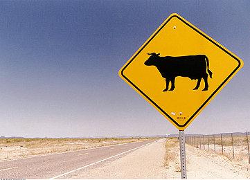 策略肉鸽游戏《Oaken》上线Steam 支持简体中文